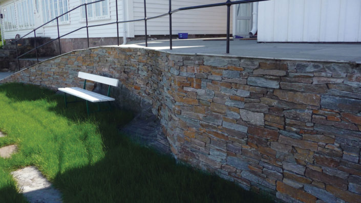 skogshorn-steinpanel